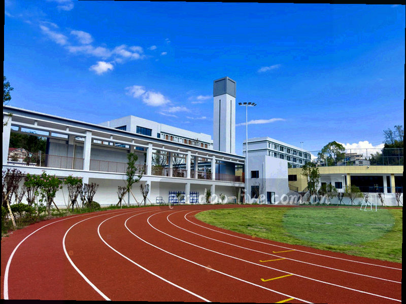 智能手机屏幕显示半岛竞界应用界面，背景为球场灯光
